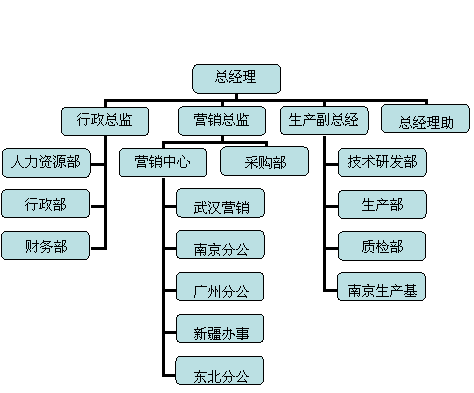 組織結(jié)構(gòu)圖